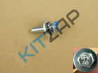 ���� � ������������